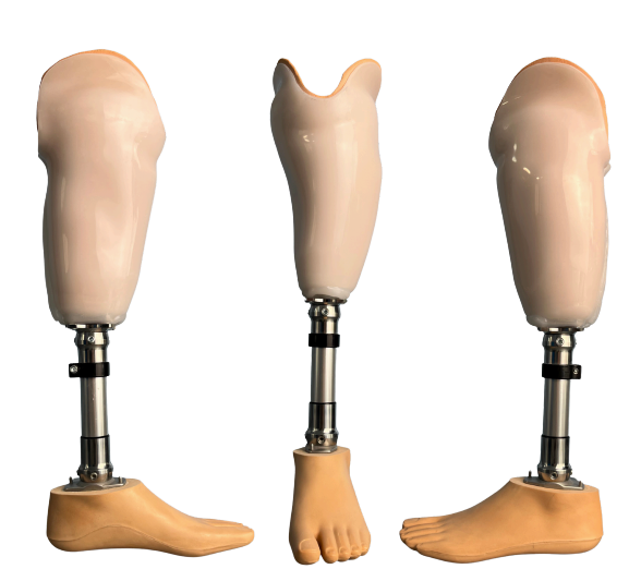 https://mediwalk.ph/wp-content/uploads/2025/12/139d034e-4af4-4d33-806a-c7035675d32c.png