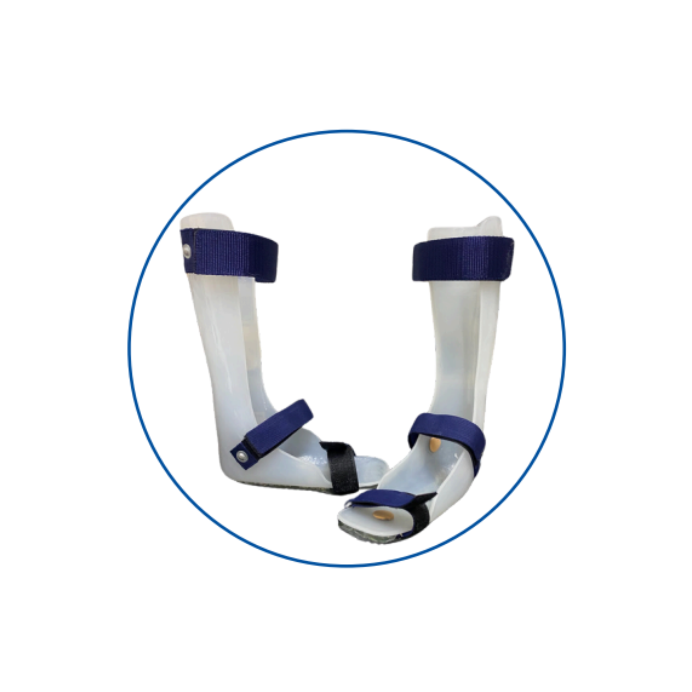 https://mediwalk.ph/wp-content/uploads/2026/01/foot.png